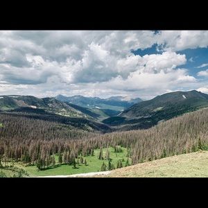 Meet your Posher, Phillip